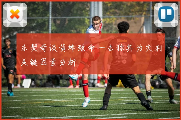 东契奇谈黄蜂致命一击称其为失利关键因素分析