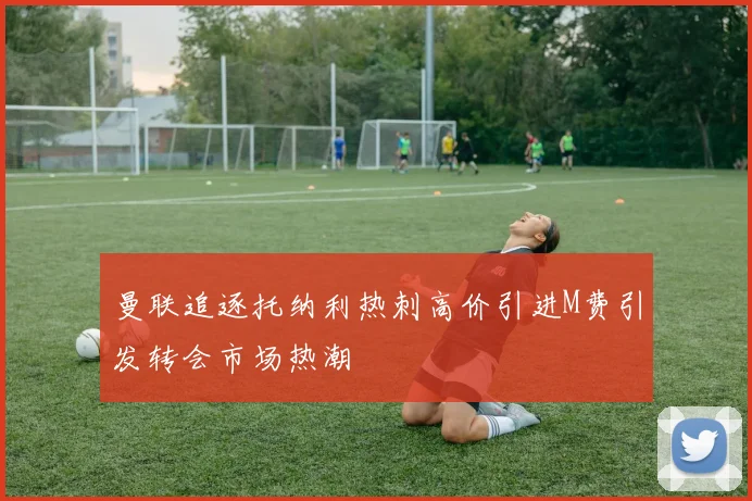 曼联追逐托纳利热刺高价引进M费引发转会市场热潮