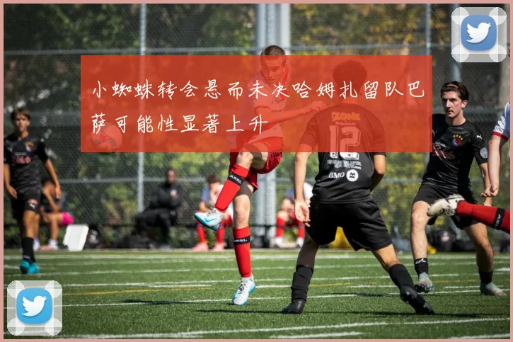 小蜘蛛转会悬而未决哈姆扎留队巴萨可能性显著上升